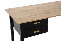 Schreibtisch LÖWEN