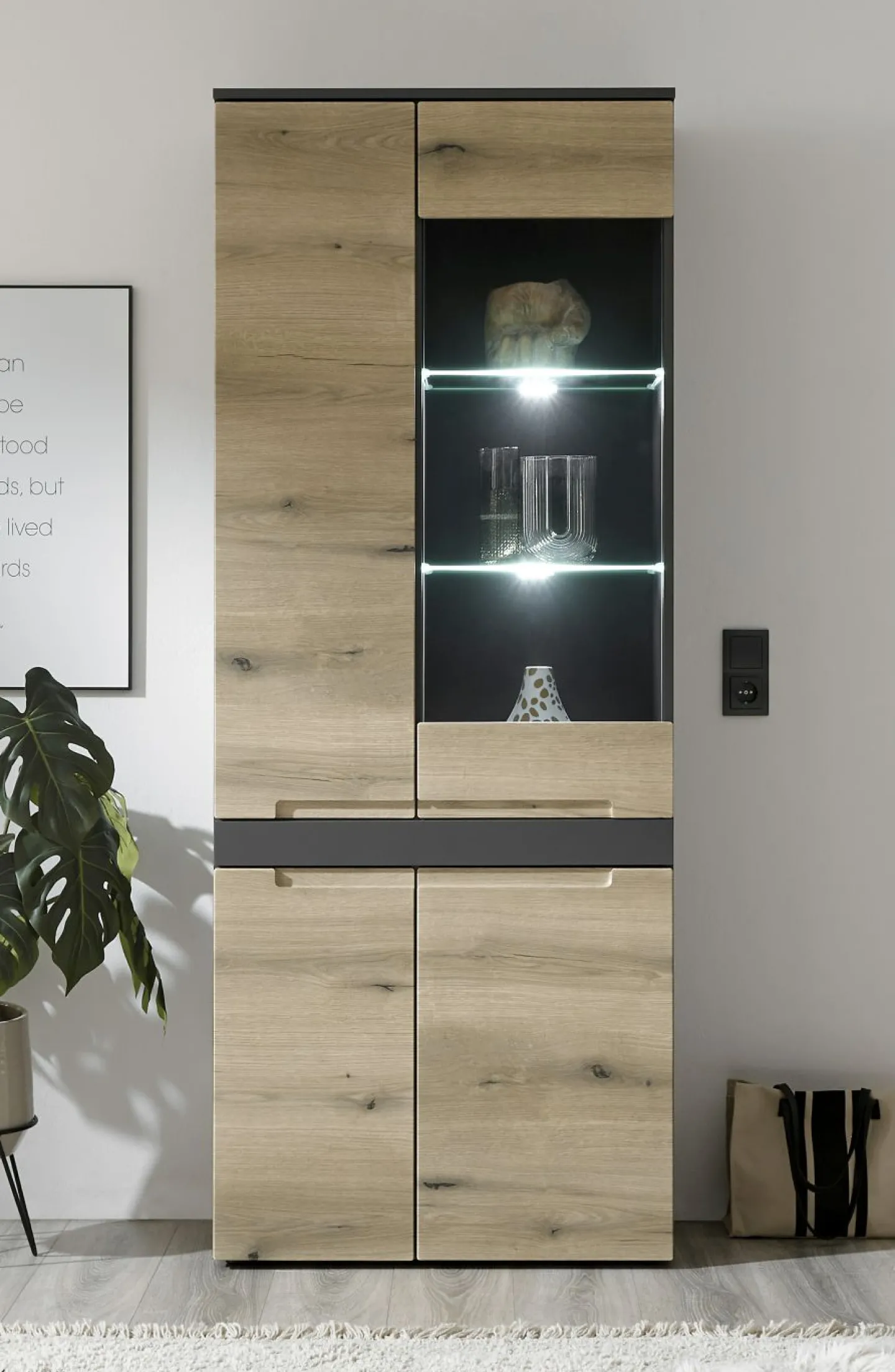 HBZ Vitrine CORK* Standvitrinen