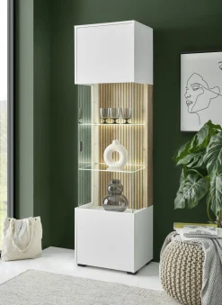 IMV Vitrine HUDSON* Standvitrinen