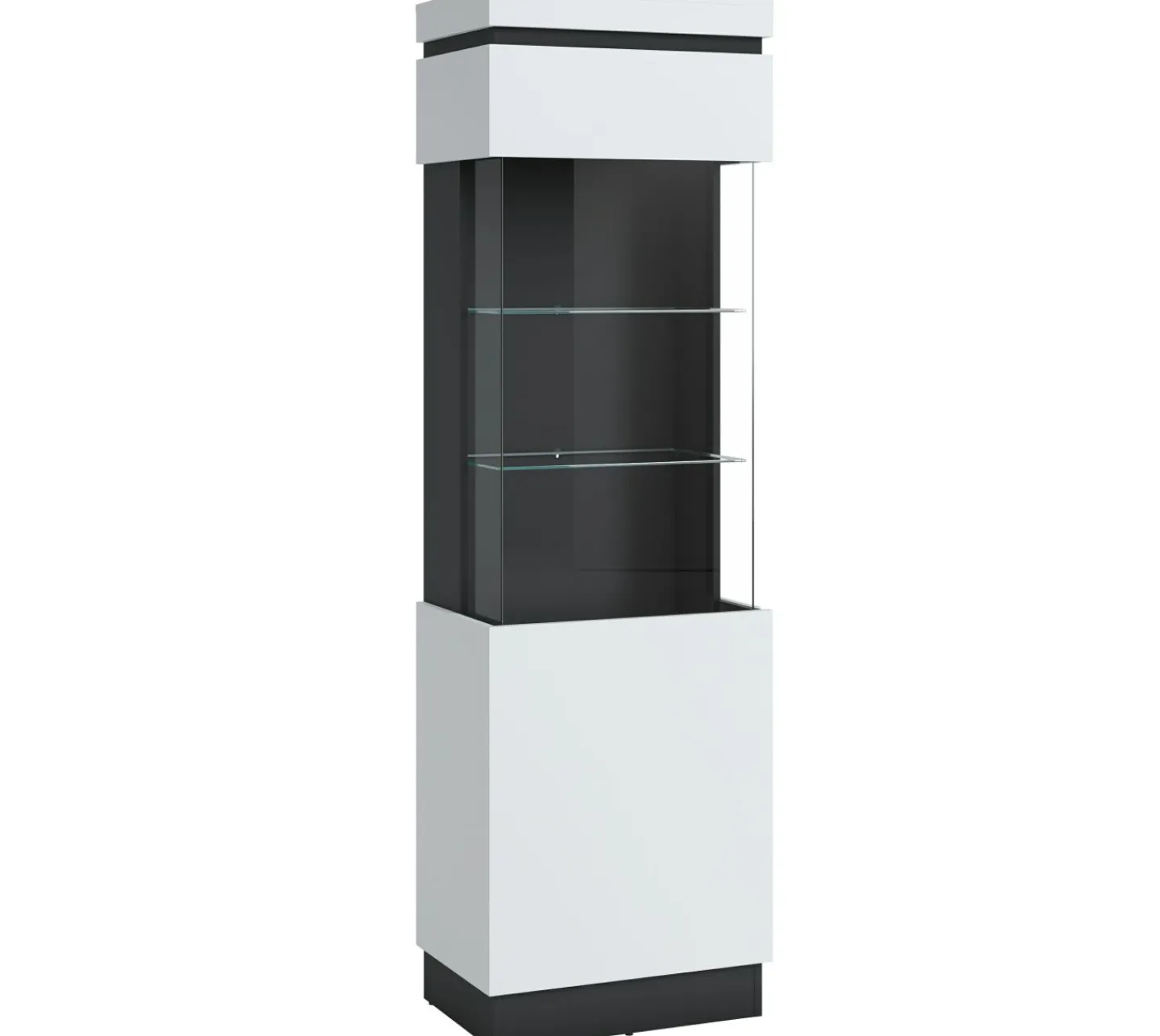 Wojcik Vitrine L CAMPANIA* Standvitrinen