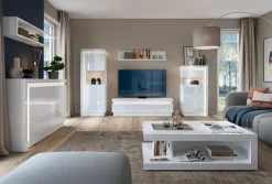 Wojcik Vitrine R LYON WEISS* Standvitrinen