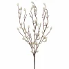 Weidekätzchenzweig FLOWERS