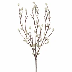 Weidekätzchenzweig FLOWERS